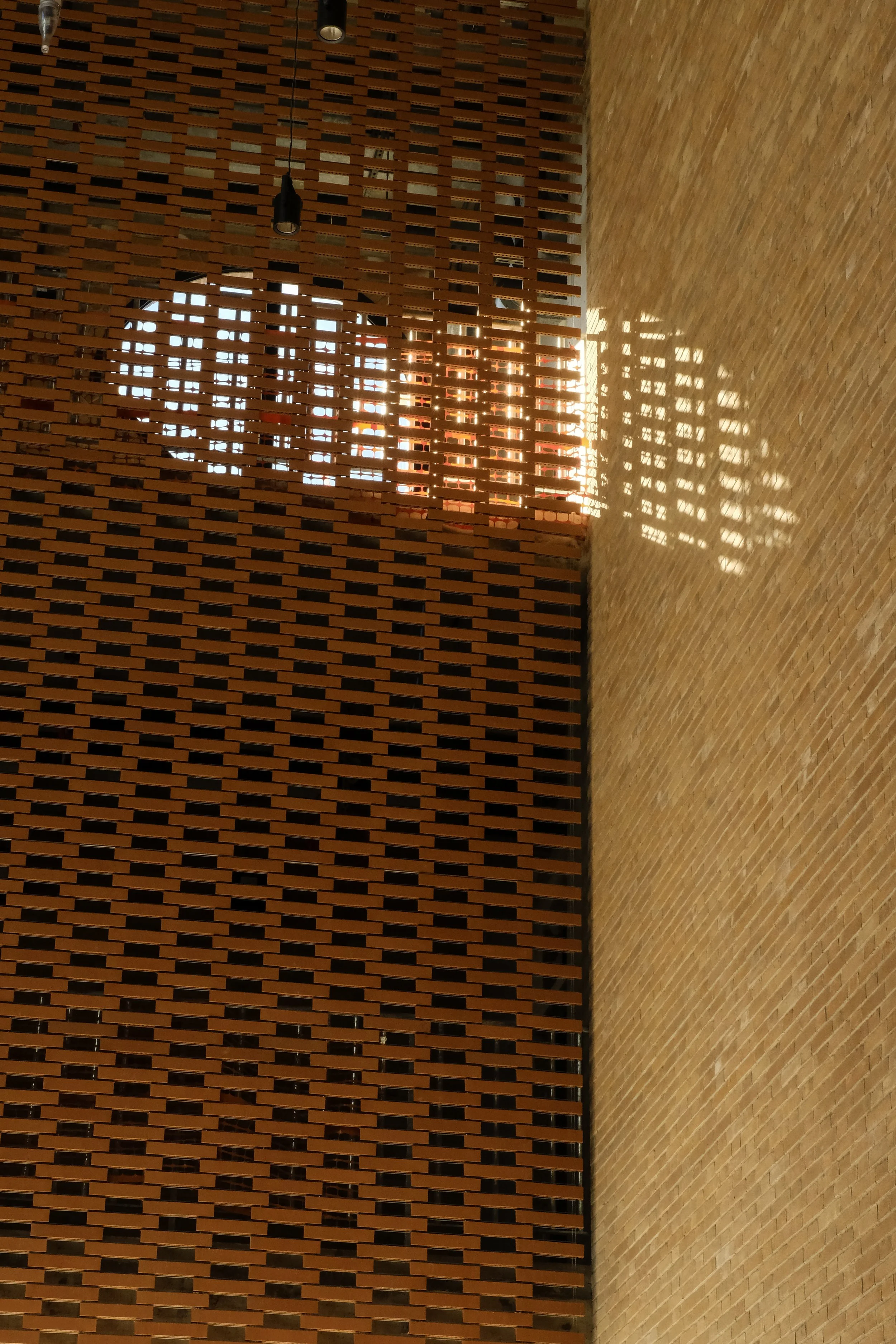 _DSF0043_edit.jpg