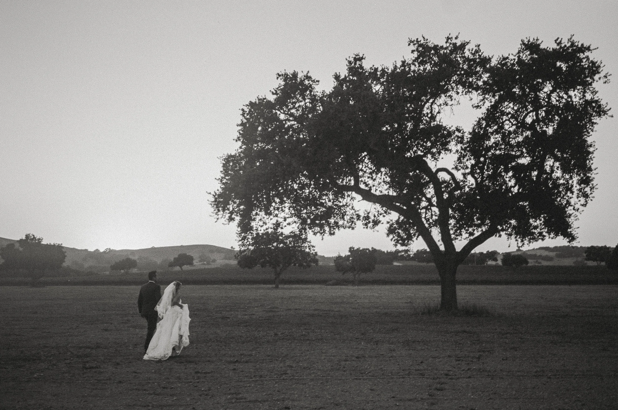 133_WeddingSamples_by_BeauRyan.jpg