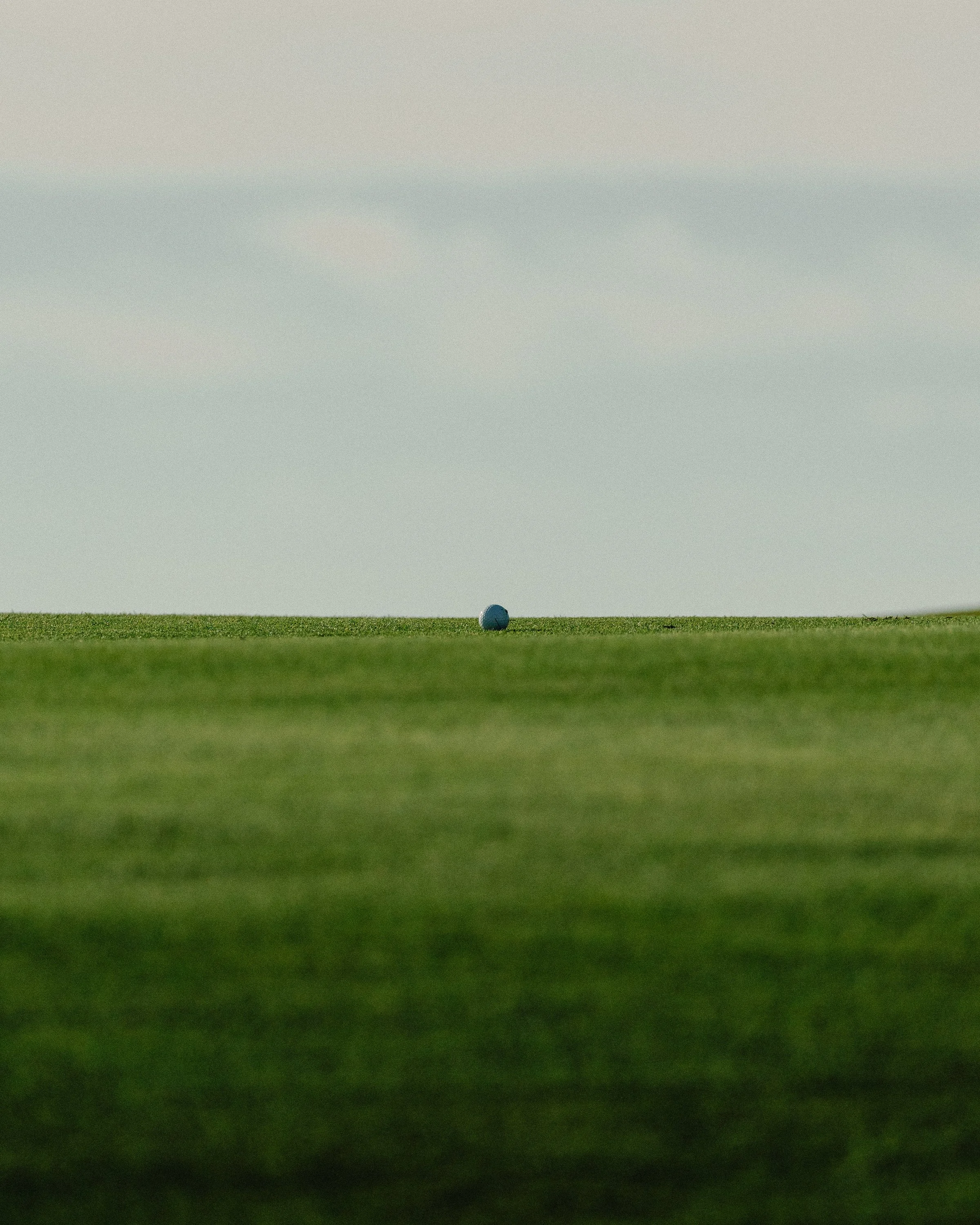 _50A6079.jpg