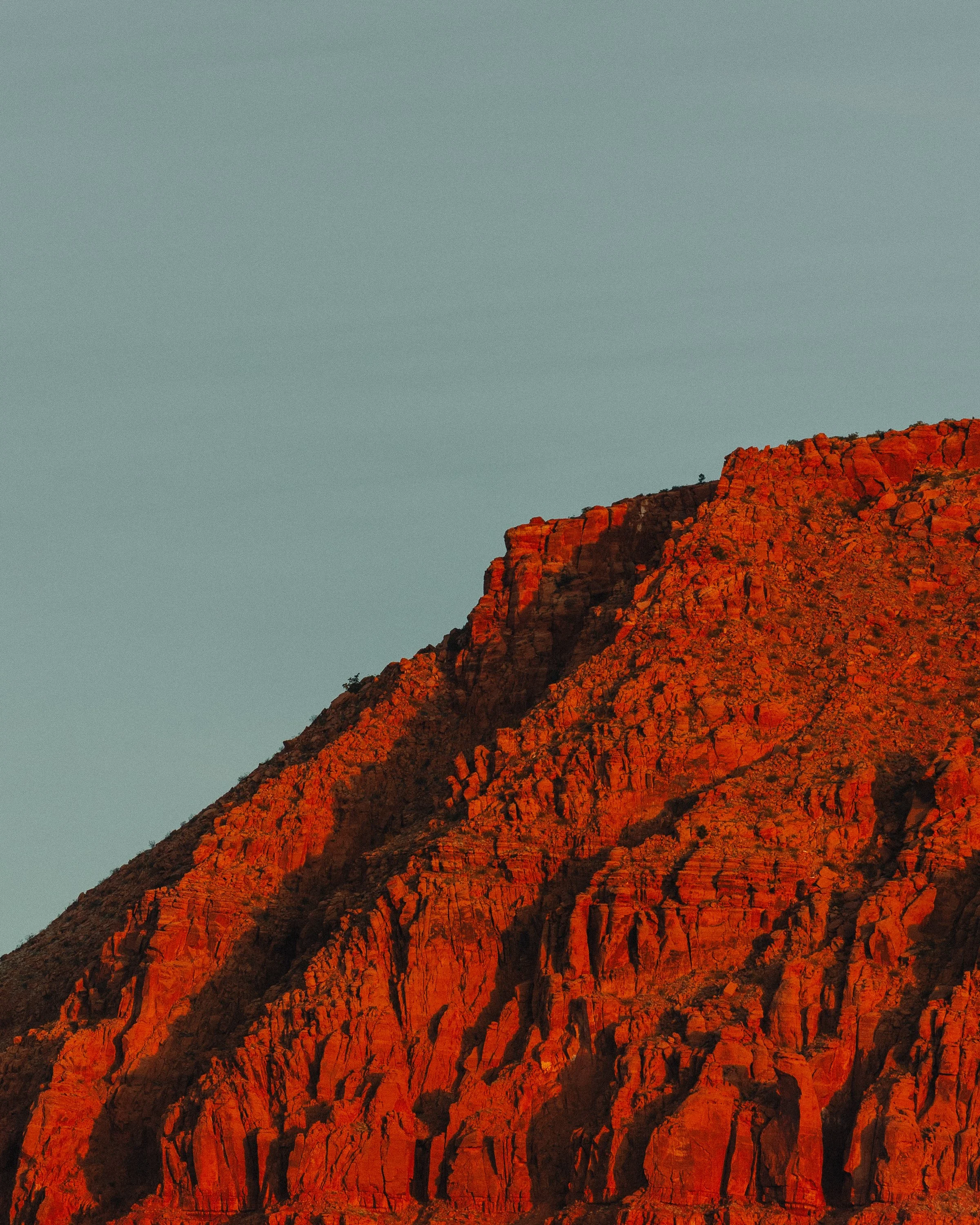 _50A6530.jpg