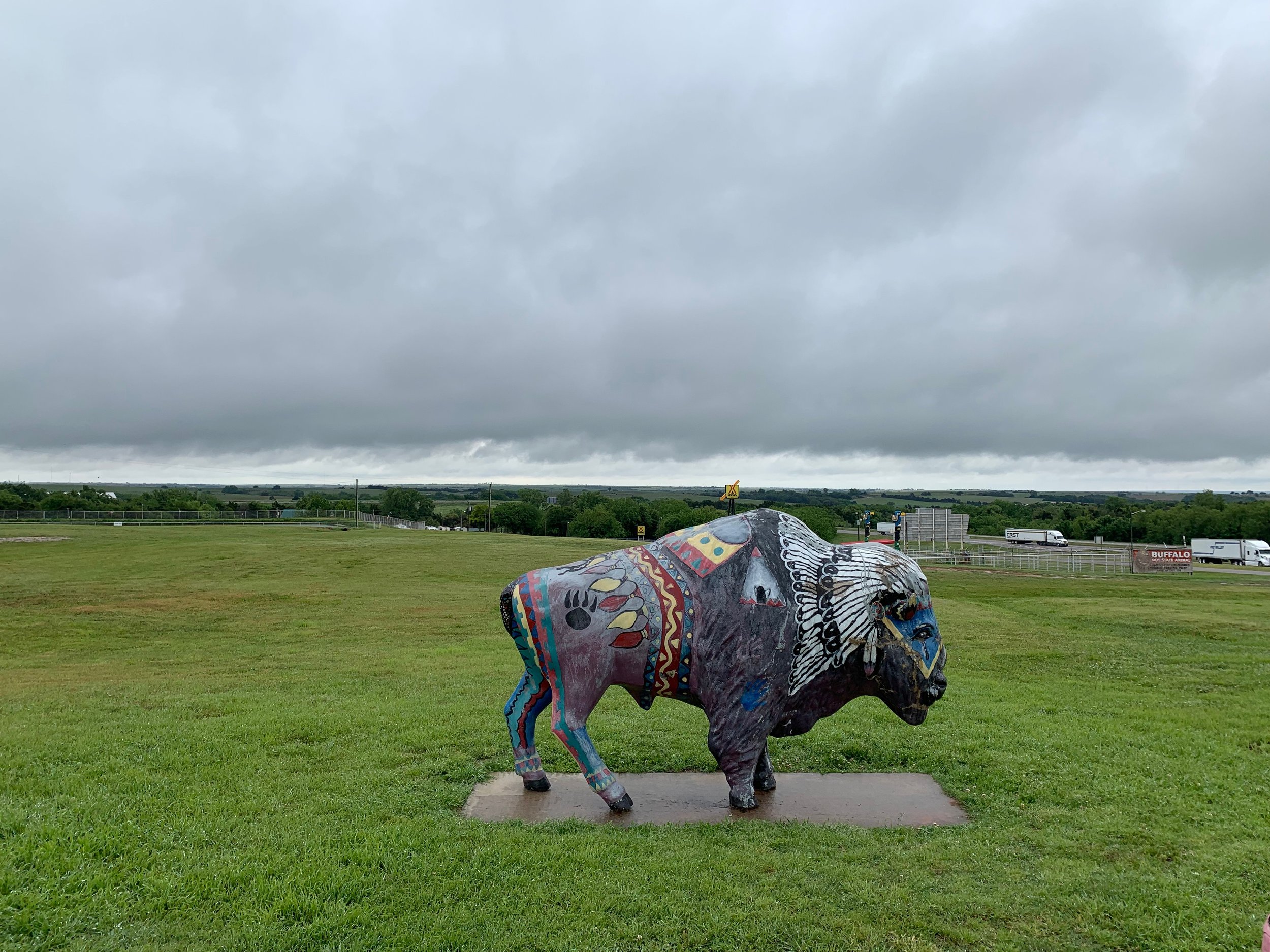 The El Reno OK Buffalo