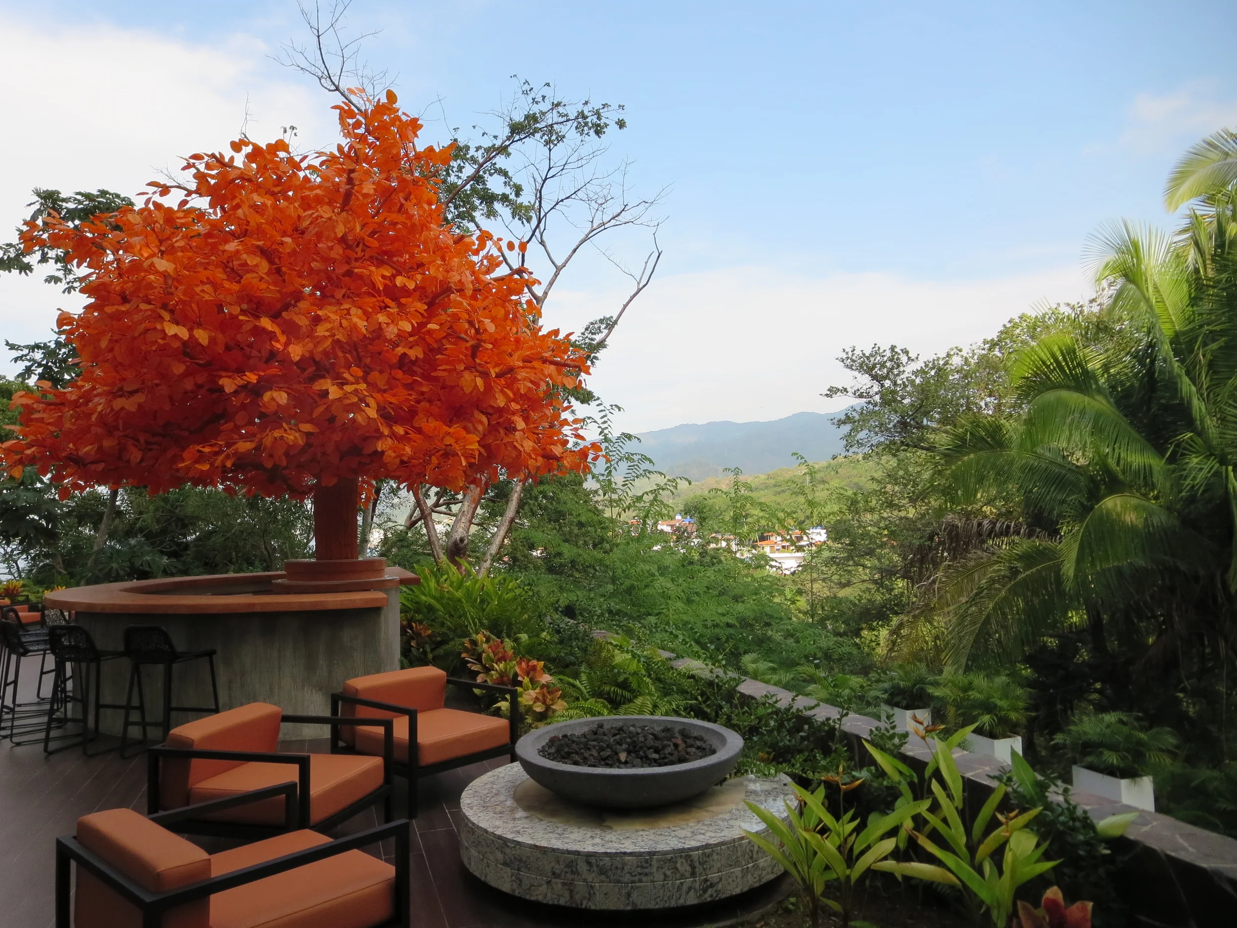 The Orange Deck