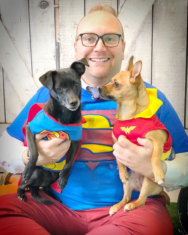 Have a SUPER Halloween! #spoiledsplendid @dccomics #halloween #halloweencostume #costume #dog #chihuahua #chihuahuasofinstagram #puppy #yeg #family #superman #wonderwoman #dccomics