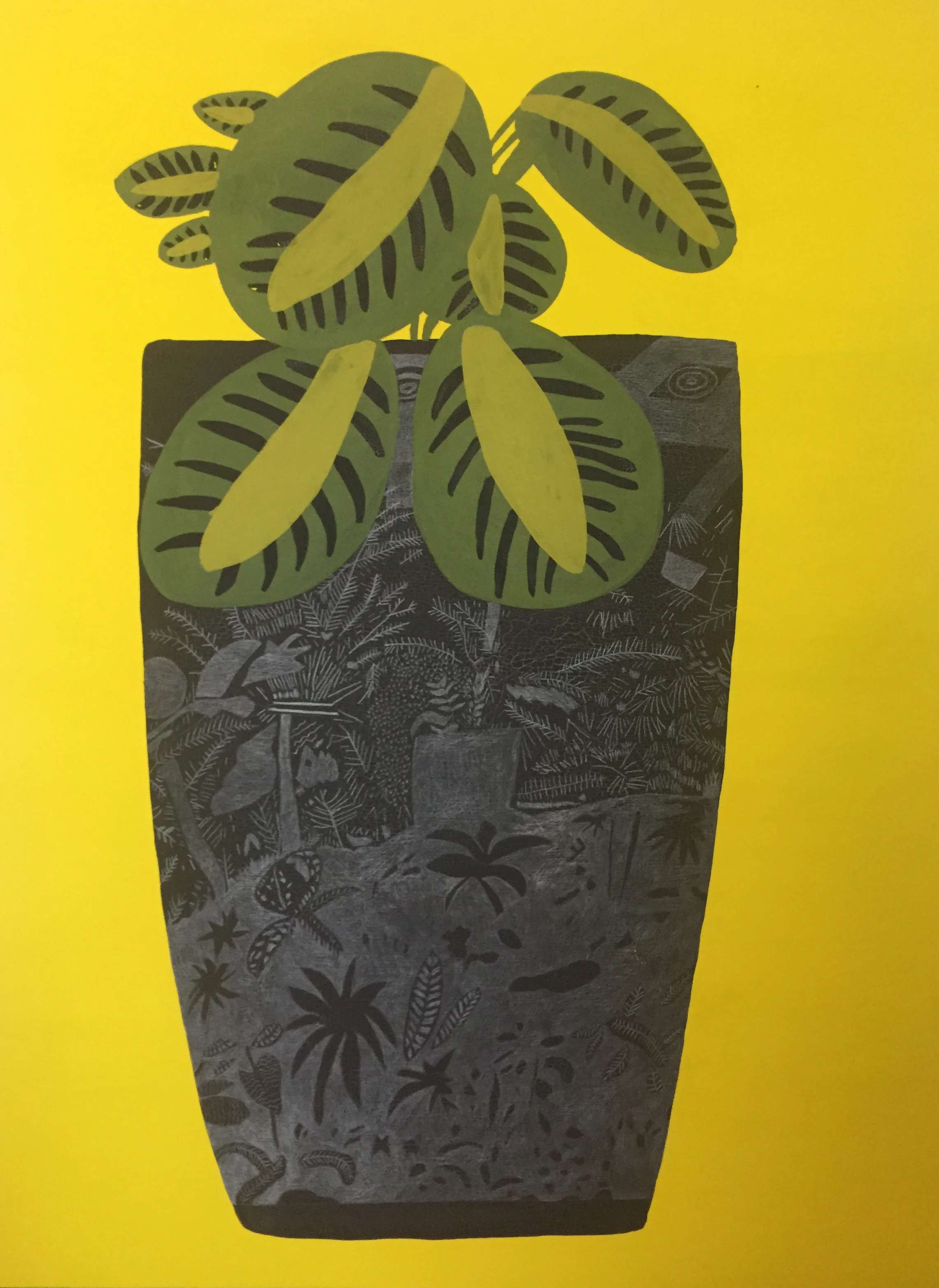 Woods_Sam Tripodi.JPG