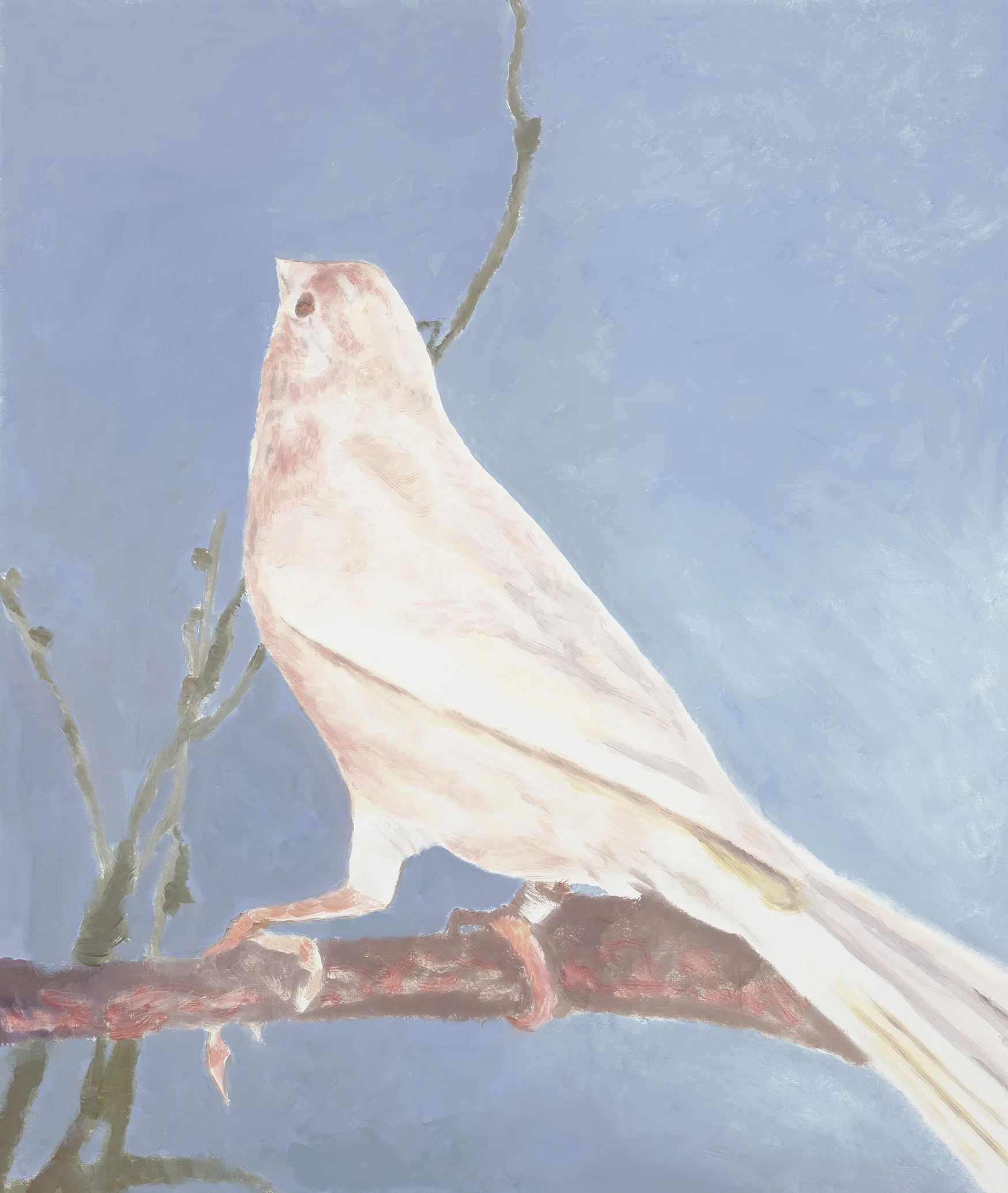 "One reviewer once rather memorably described the pale, powerful quality of the Belgian artist Luc Tuyman’s work as “barely there, like an evil spirit passed on the stairs.” His subjects have ranged from a Japanese cannibal to a Gas Chamber at Dachau, from Condoleezza Rice to Queen Beatrix of the Netherlands, although the subjects themselves aren’t really the real subjects. Tuymans is an artist who questions the fact of painting itself, what we see and don’t see, what we withhold or repress, what we choose to remember or forget..." The Herald