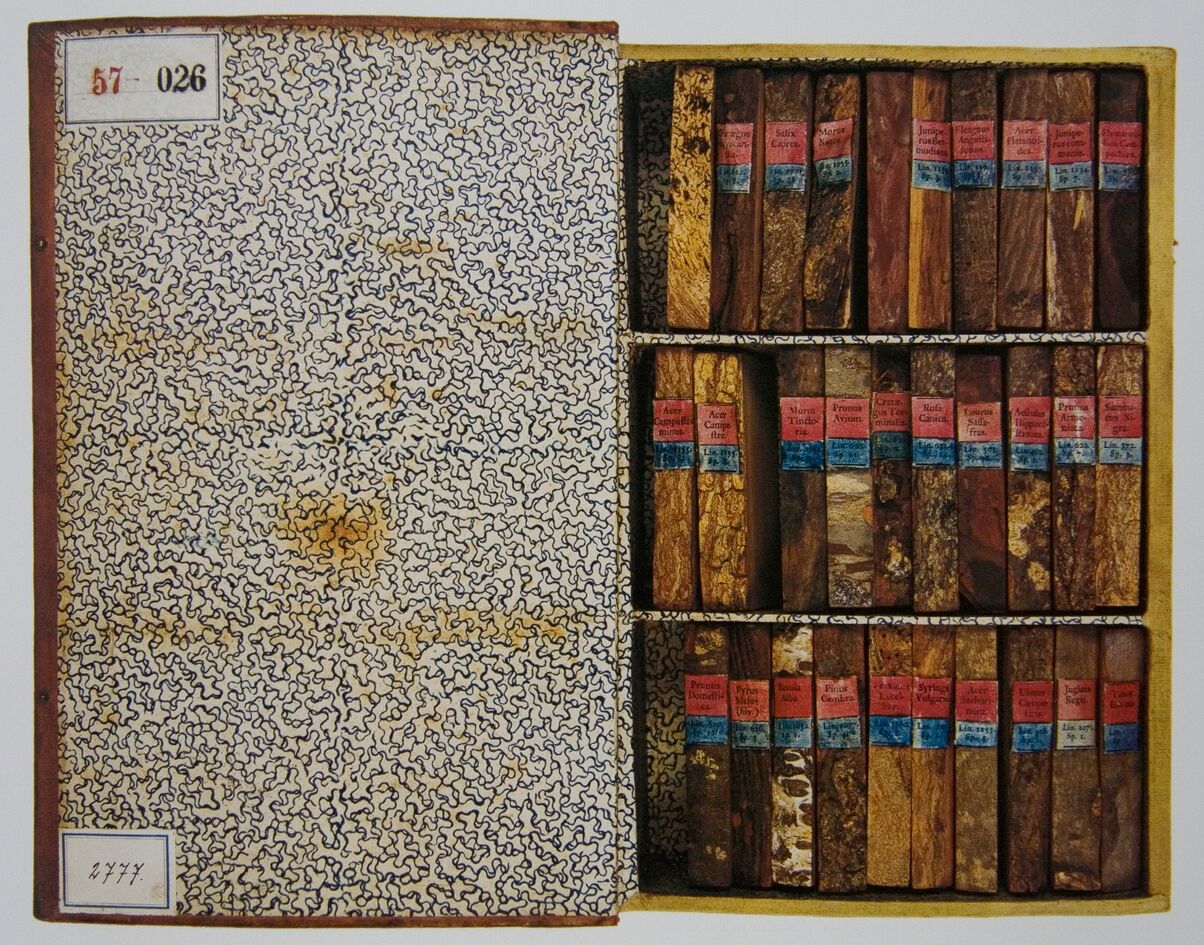 "... Of the 68 volumes prepared by Karel of Hinterlagen around 1825, each documents one type of wood. The panels are made of the wood of the relevant tree, the spine with the title in Latin and German is made of bark with lichen, inside there are roots, branches, leaves, flowers, fruits, sections of branches, and pests. Beyond the dendrology library, on the back wall of the passage, there is an illusive perspective painting by Achbauer, from 1825, which extends the corridor by means of optical illusion. " H istory of The Monastery | Cabinet of Curiousities