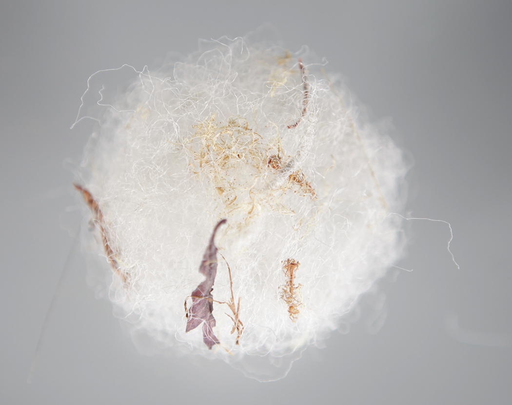 K. Yon 2017, Photograph, 12" x 18" The Suzy Daley Collection