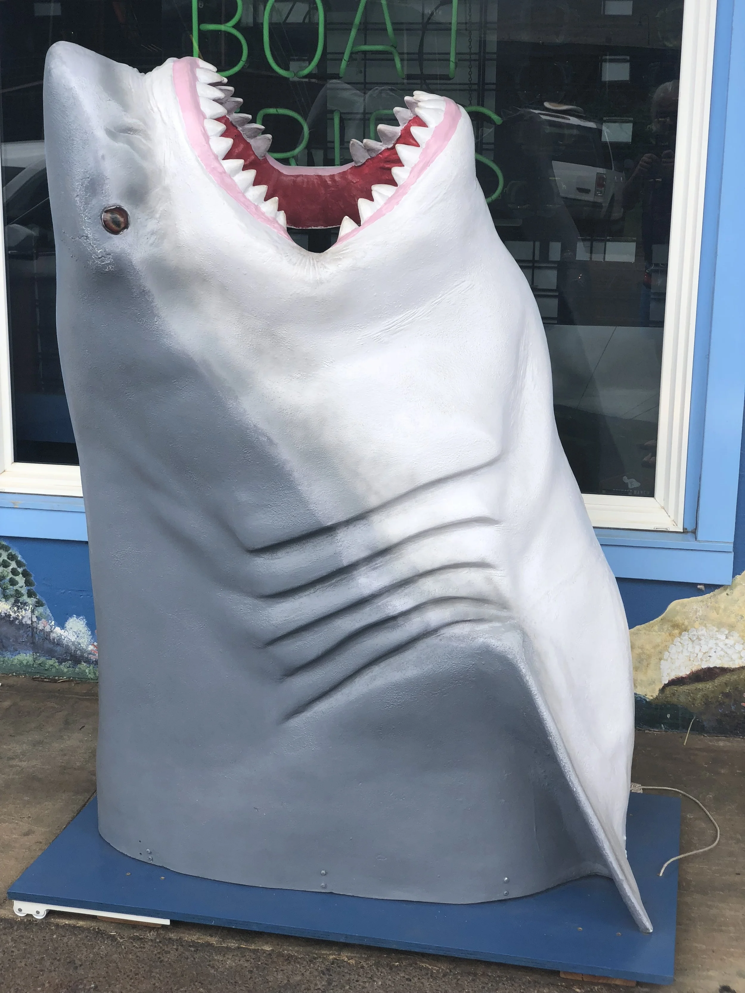 Shark.jpeg