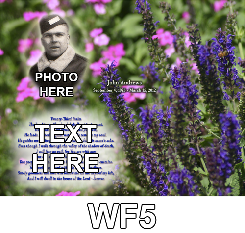 WF5+copy+-+Copy.png