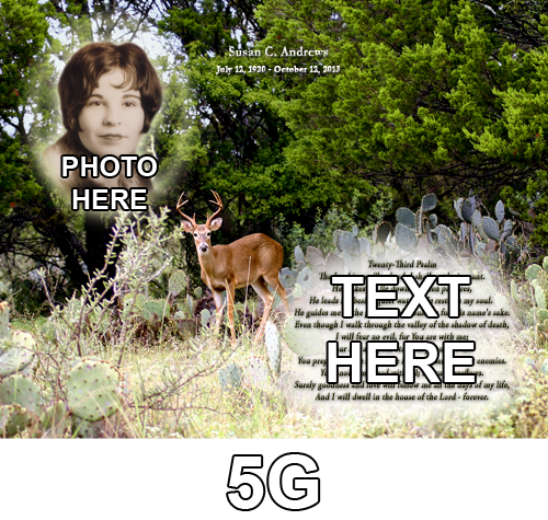 5G+copy+-+Copy.png