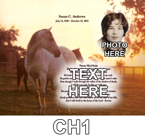 CH1+copy+-+Copy.png