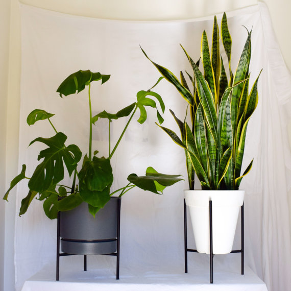 Mid Century Planters For Every Budget @ acheekylifestyle.com by Val Banderman