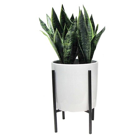 Mid Century Planters For Every Budget @ acheekylifestyle.com by Val Banderman