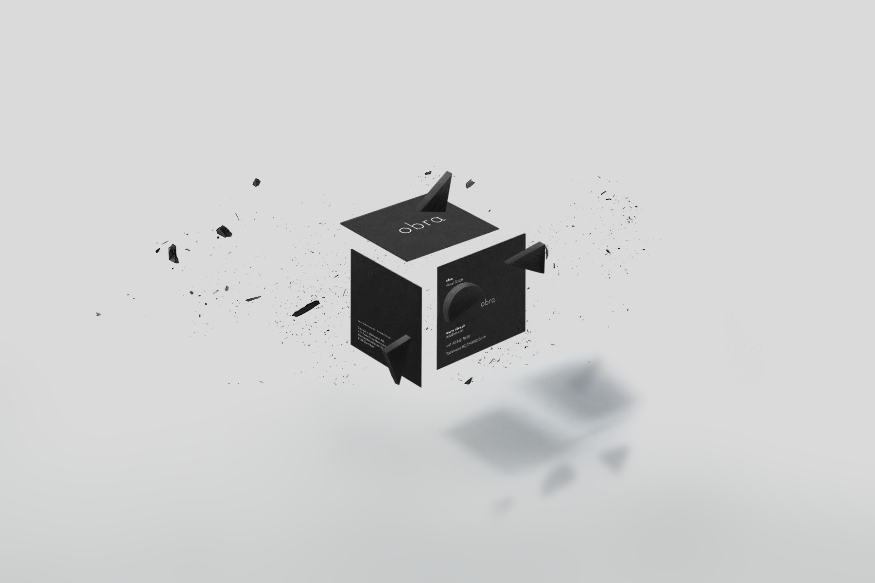 OBRA_presentation_board3.png