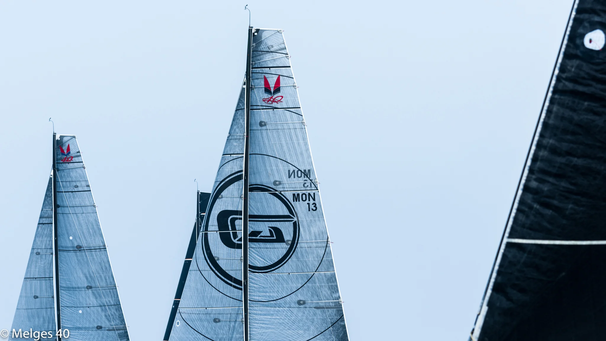 DSC_2514.jpg