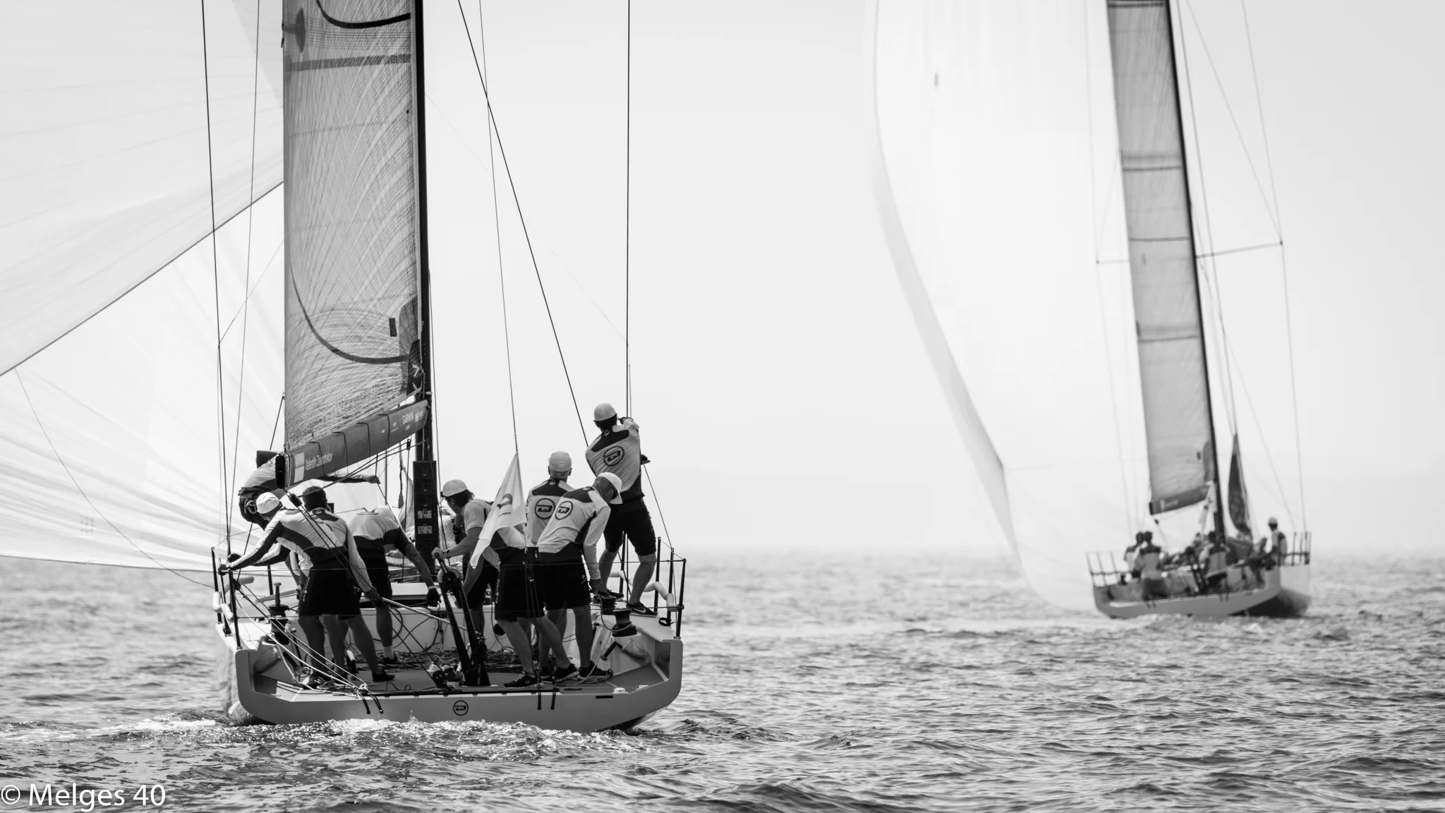 DSC_2606.jpg