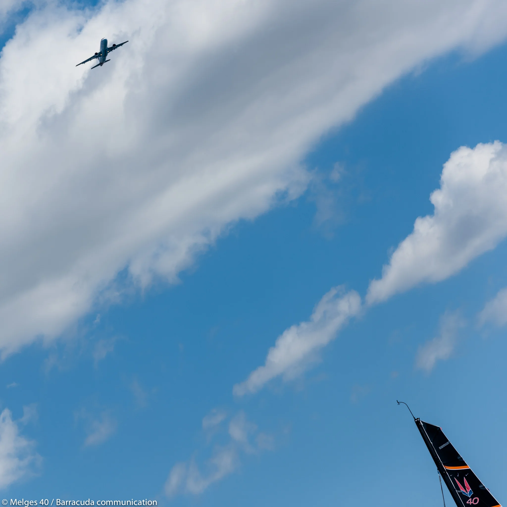 _DSC7880.jpg