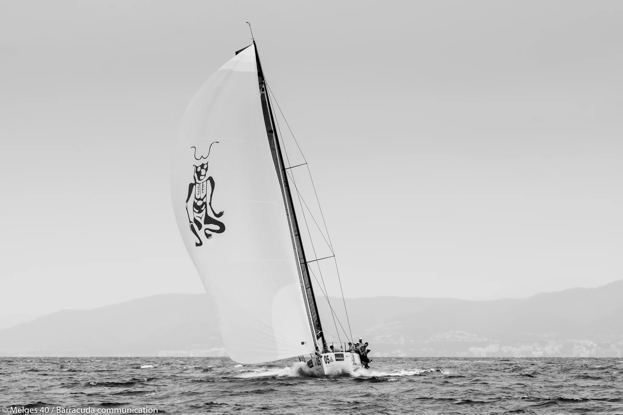 _DSC9161.jpg