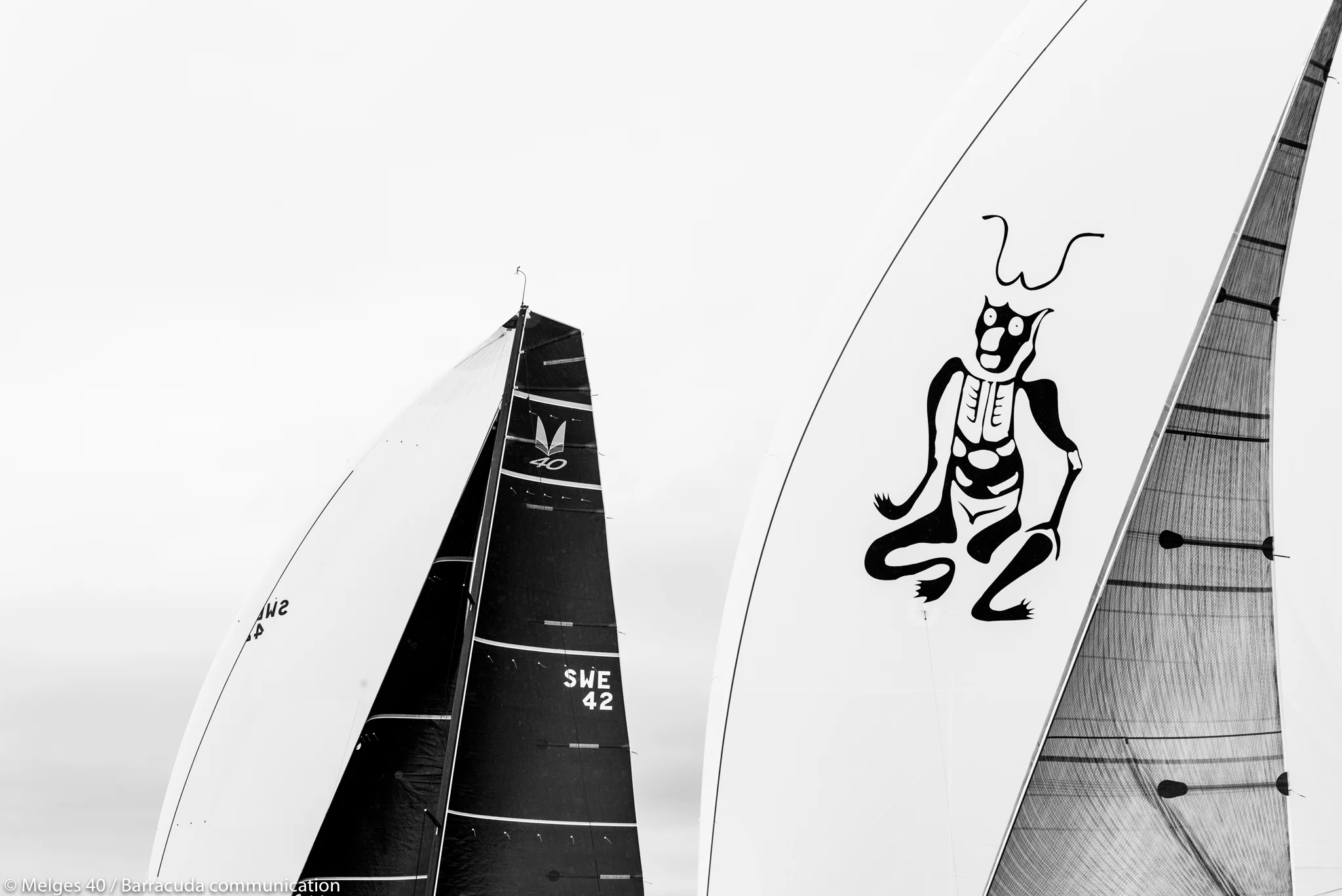 _DSC9486.jpg