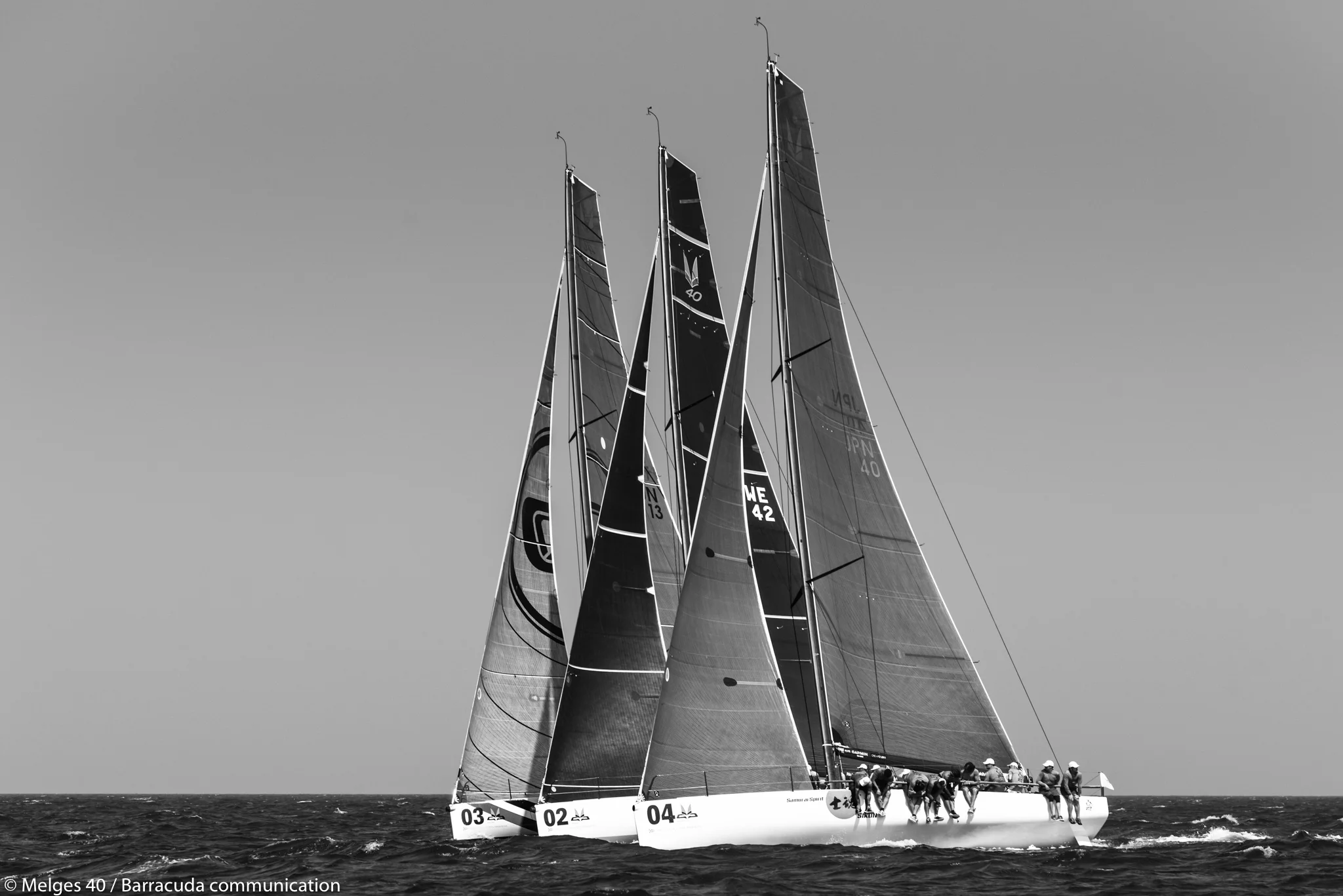 _DSC8722.jpg