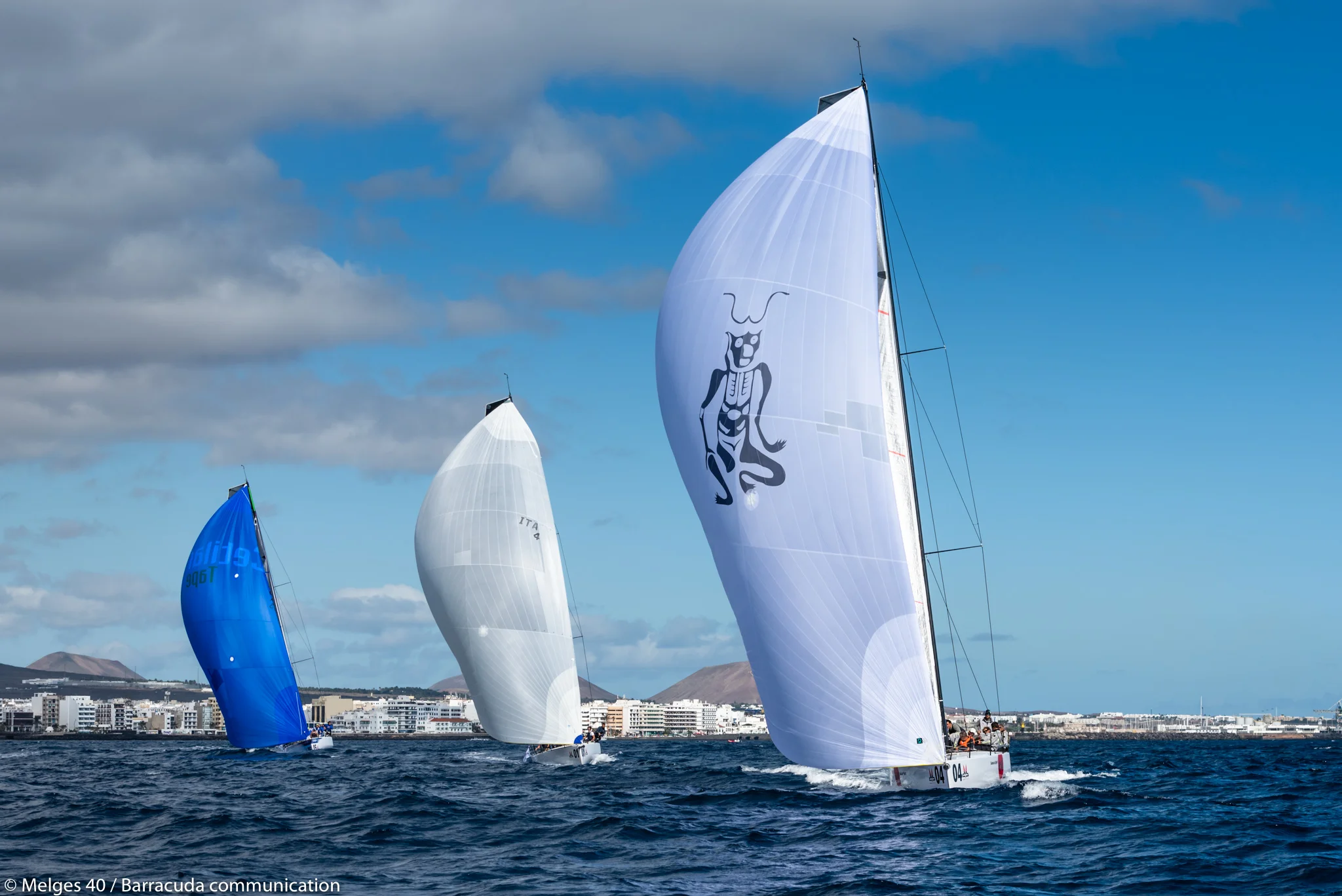 DSC_0591.jpg