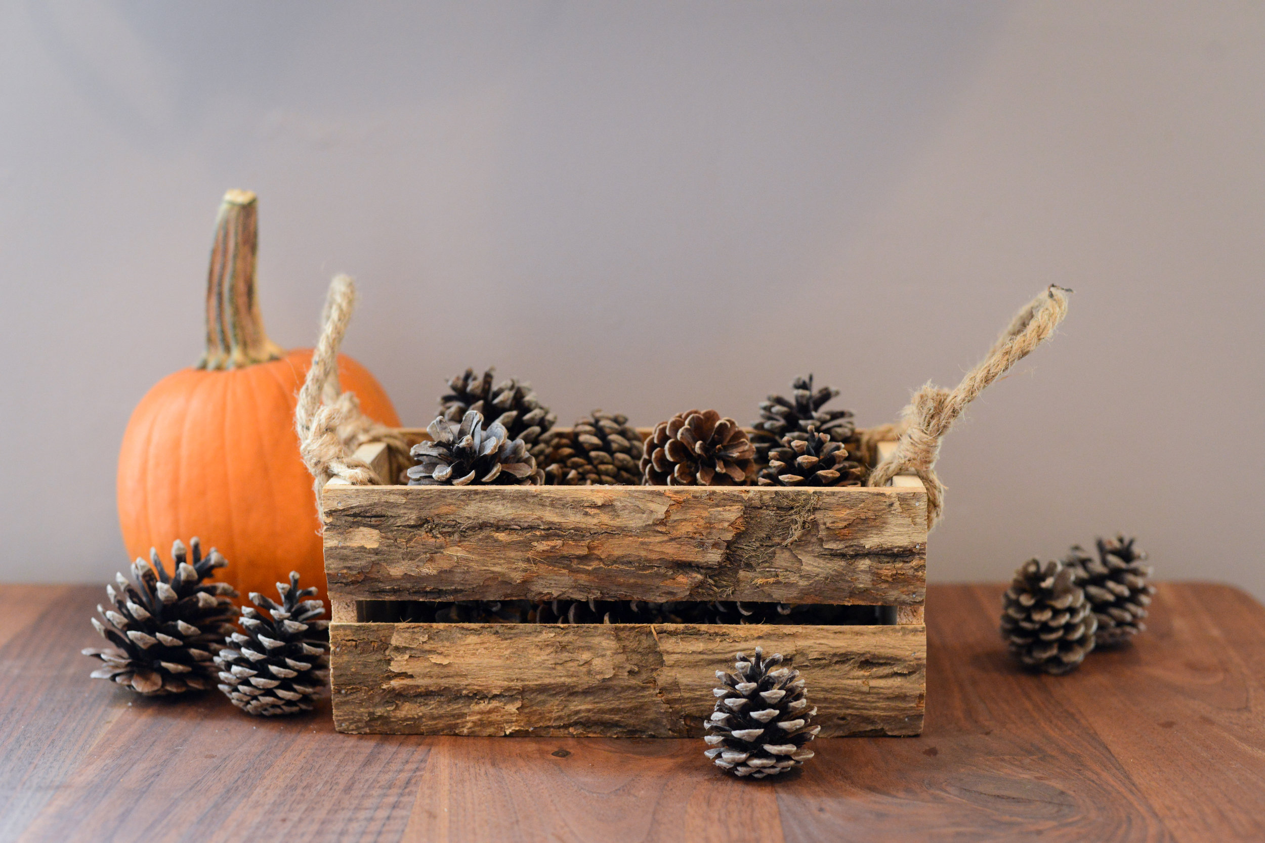 Rustic wooden box for fall
