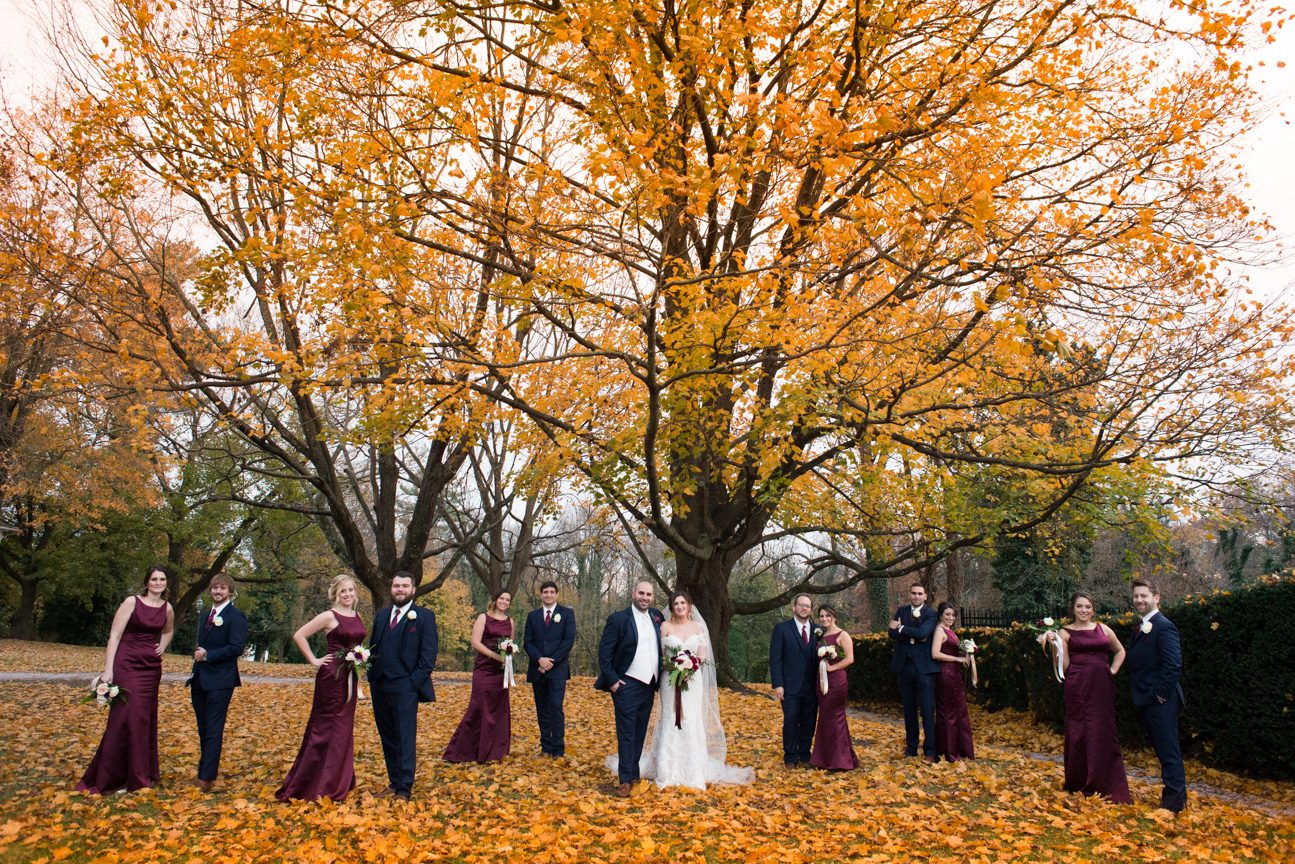 Wedding Party portrait under fall tree