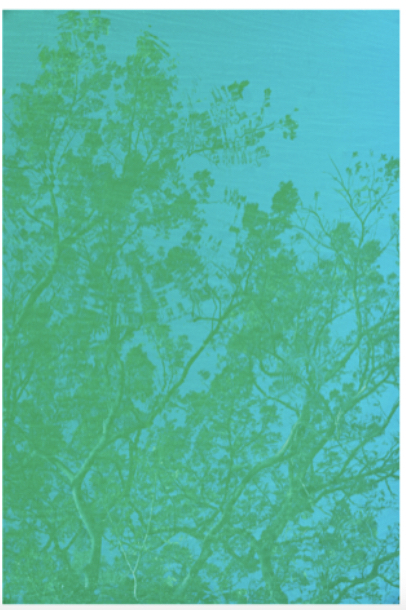 Screen Shot 2021-11-15 at 8.13.52 AM.png