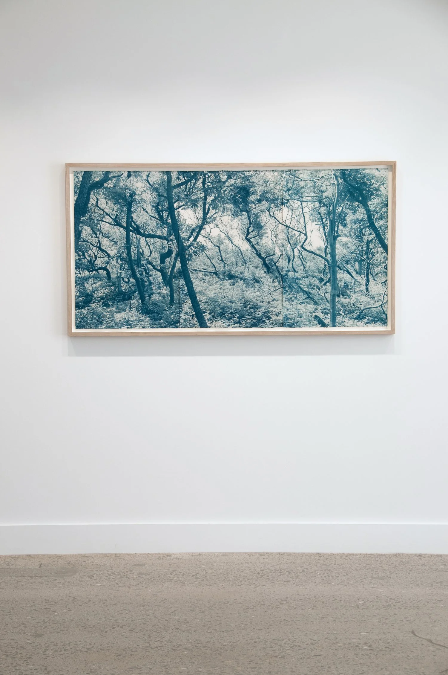 Somosi+Sunken+Forest-1.jpg