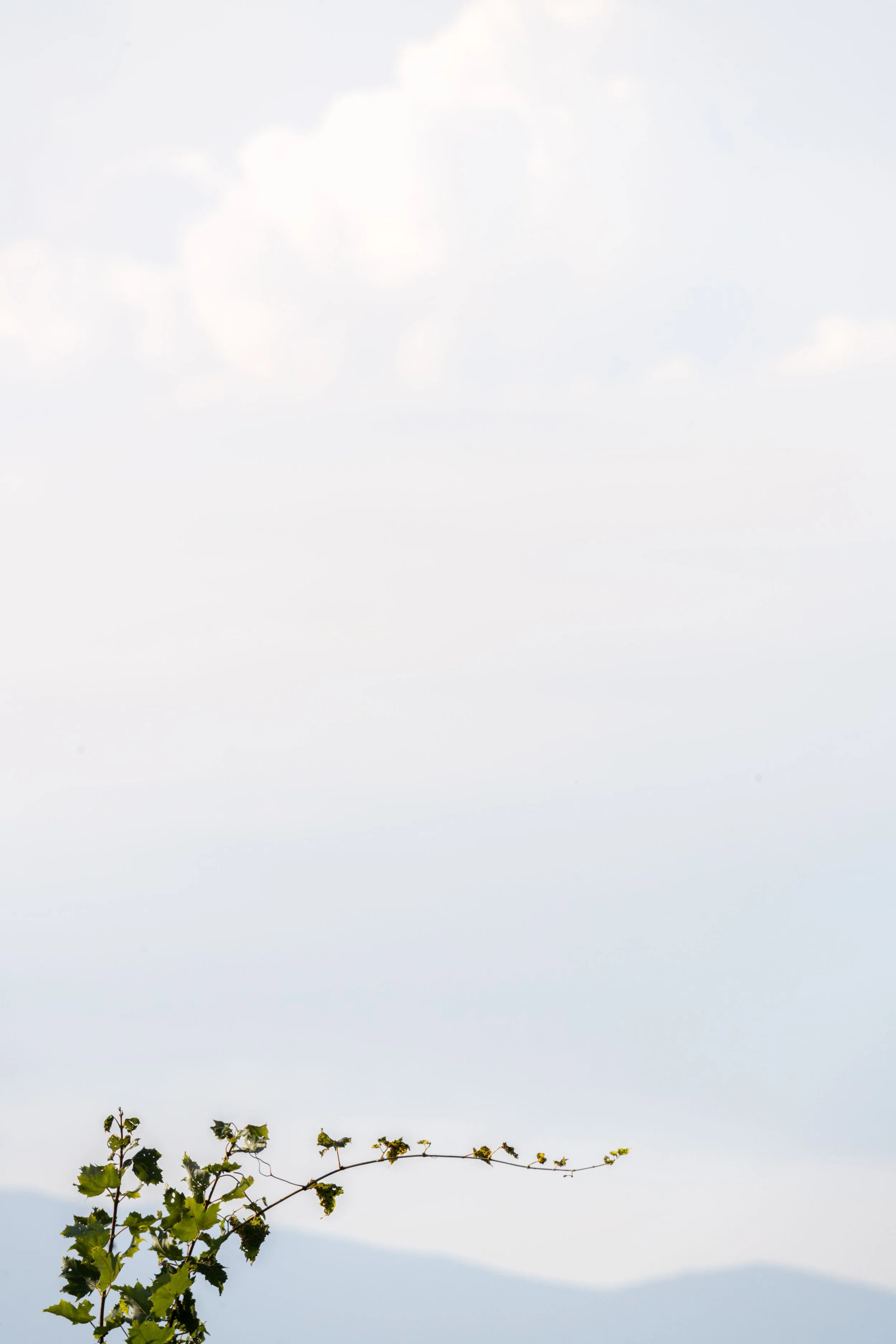 _DSC5876-Edit.jpg