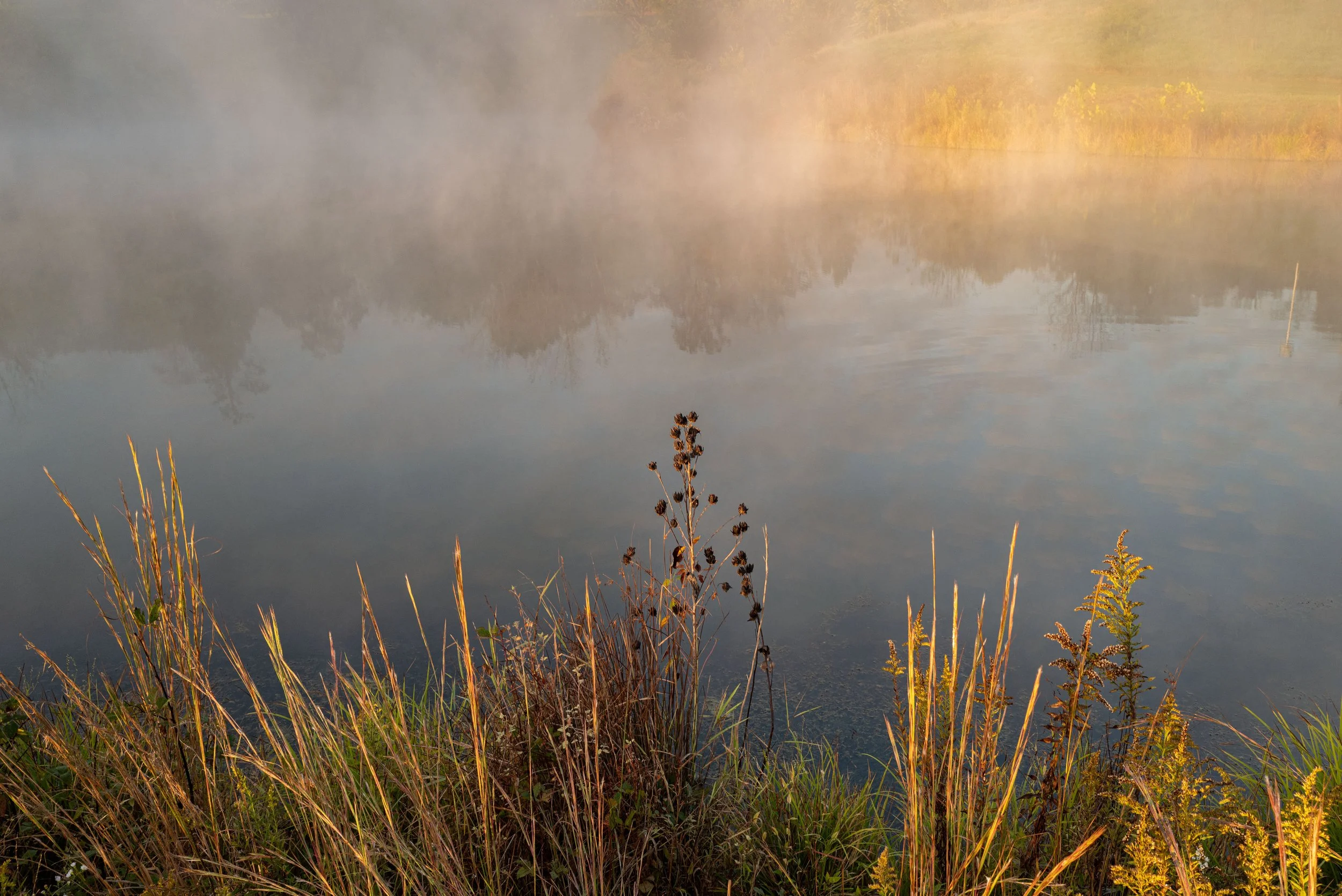 L1042825.jpg