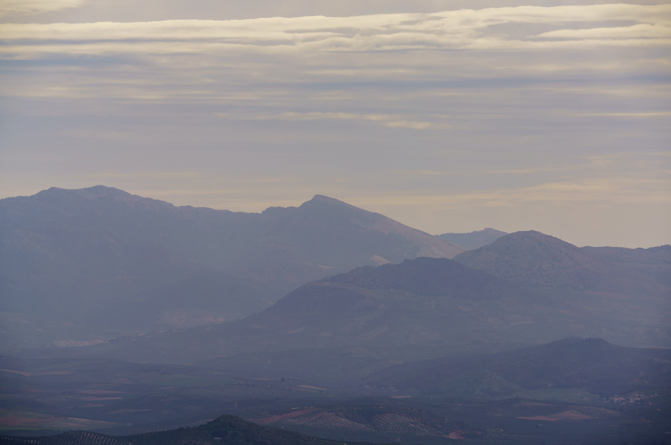 Screenshot 2025-09-26 at 8.55.19 AM.png