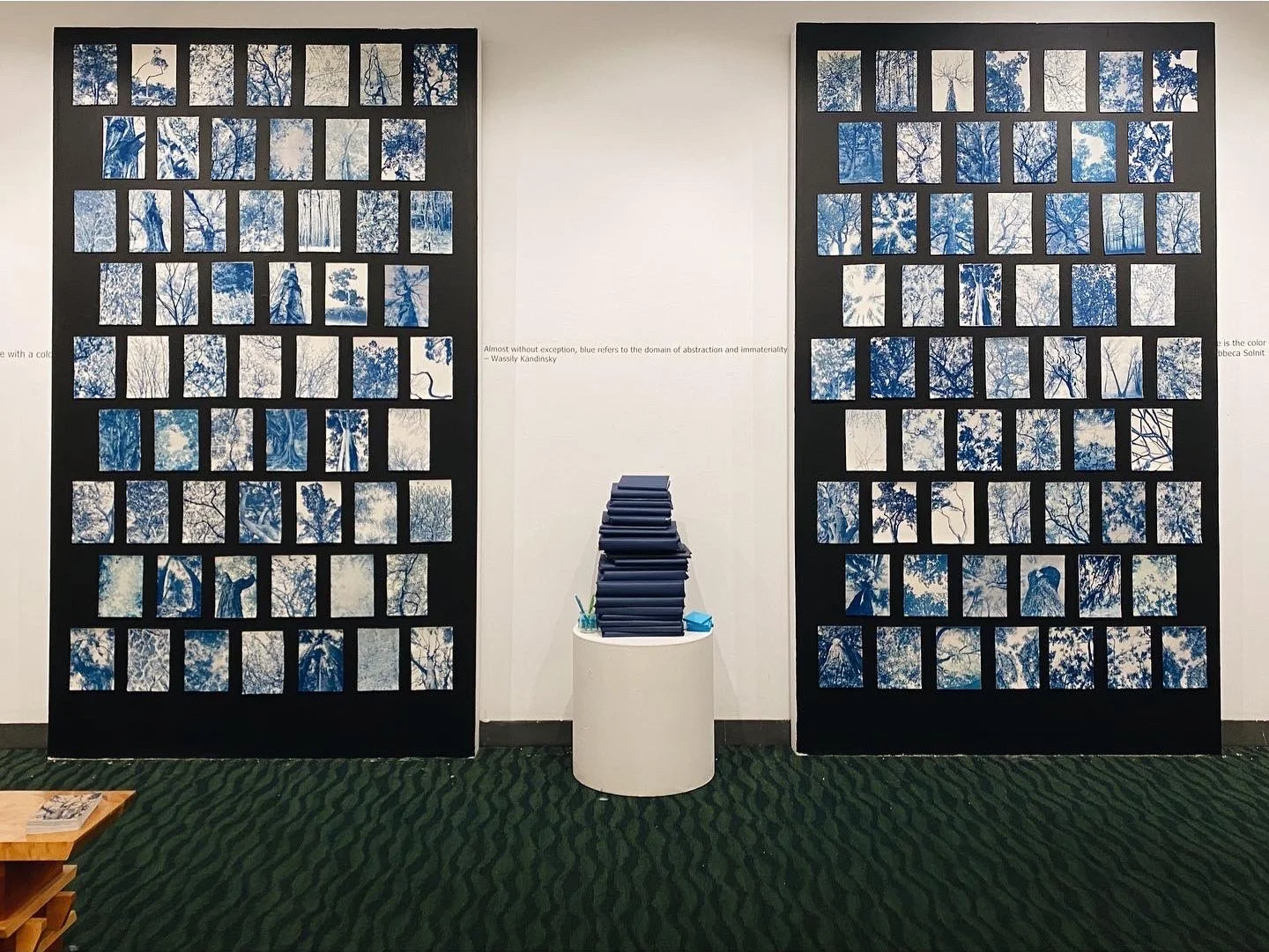 D91051C2-8E9B-4DE6-8EA7-C87231F2433B copy.jpg