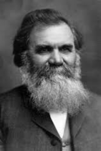 D.D. Palmer - The "Discoverer" of Chiropractic
