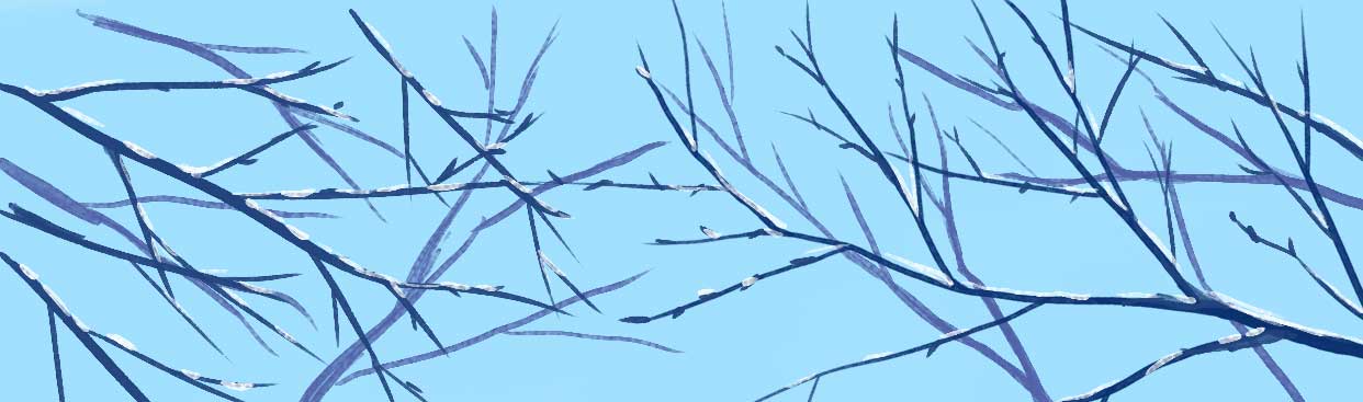 Winter in Sherwood, by Amanda Spaid .