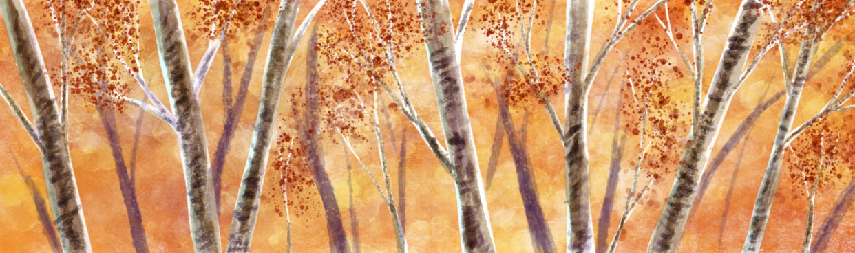 Autumn's fiery grip enfolds the forest, by Amanda Spaid.