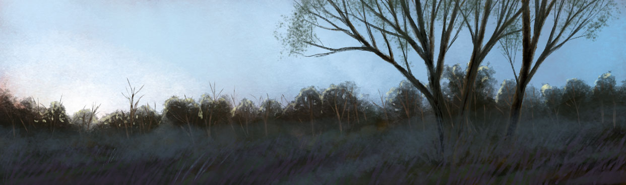 Edge of the Forest, by Amanda Spaid