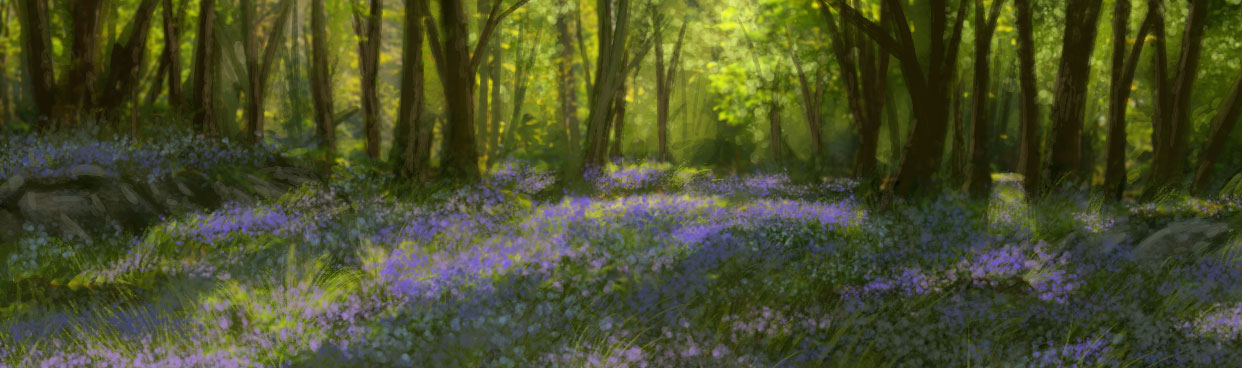 The Bounds of Sherwood by Amanda Spaid