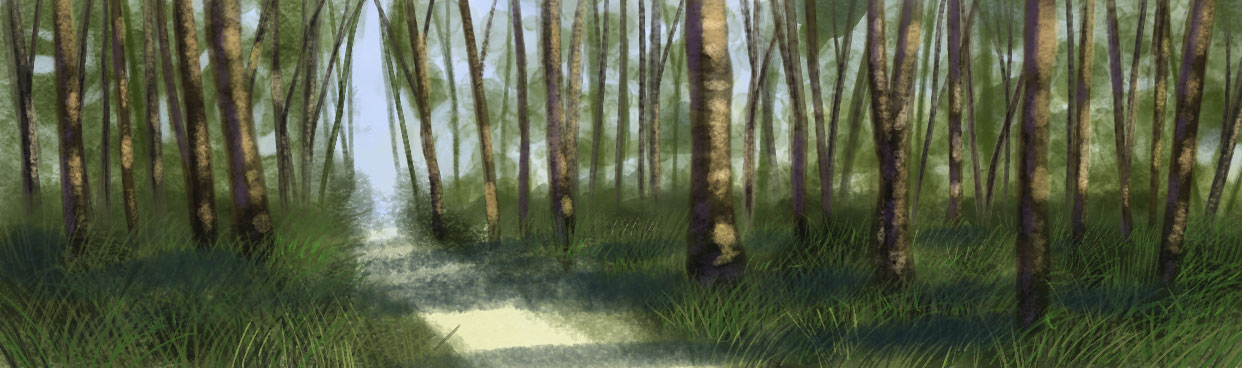 Sherwood has its share of wooded paths, by Amanda Spaid