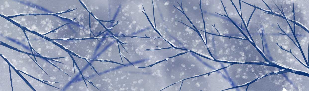 A vision of winter, by Amanda Spaid