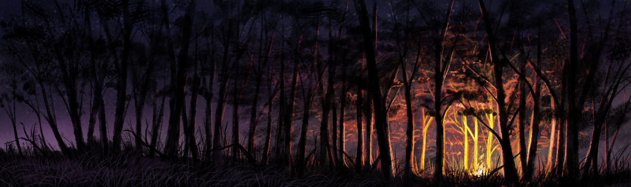 Campfire at night, by Amanda Spaid