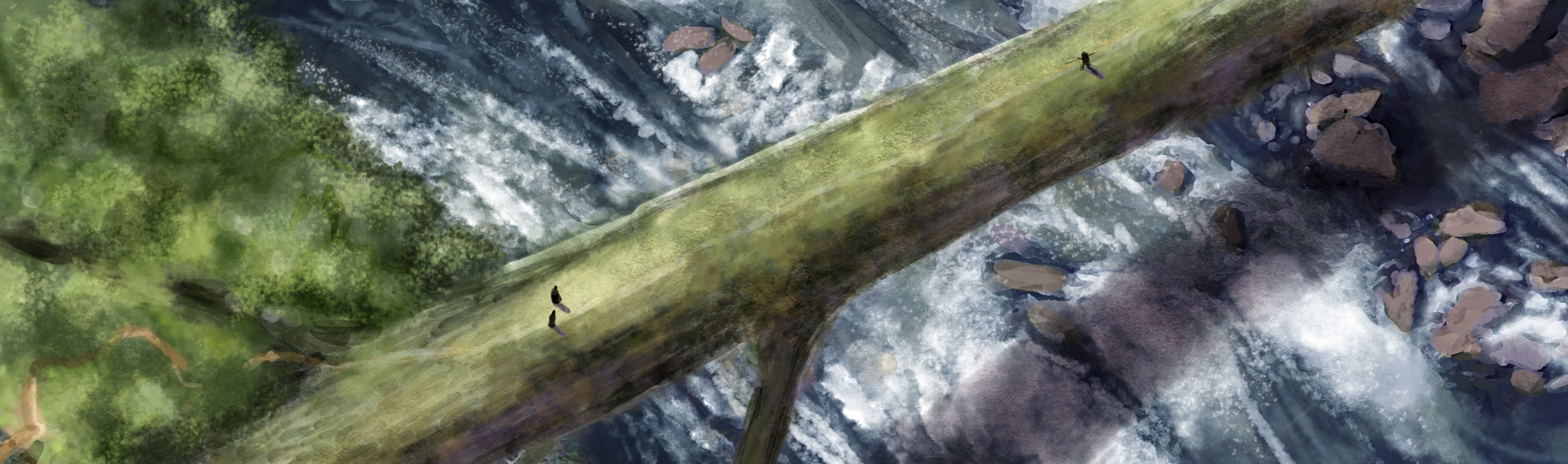 The River Crossing, by Amanda Spaid