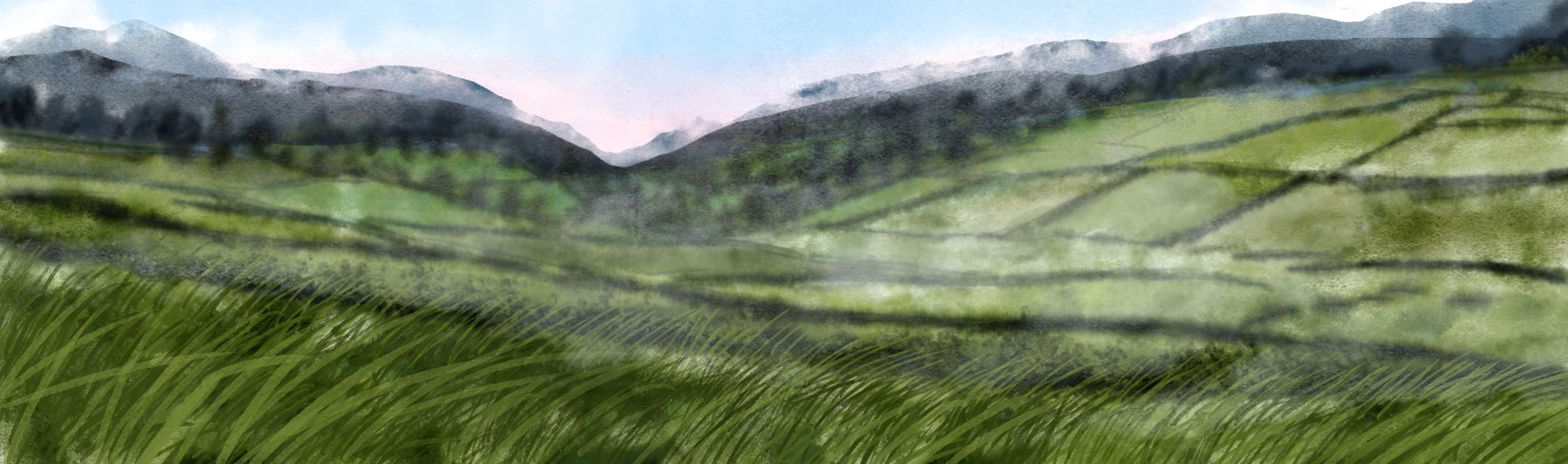 The edge of a very different forest, work-in-progress, by Amanda Spaid