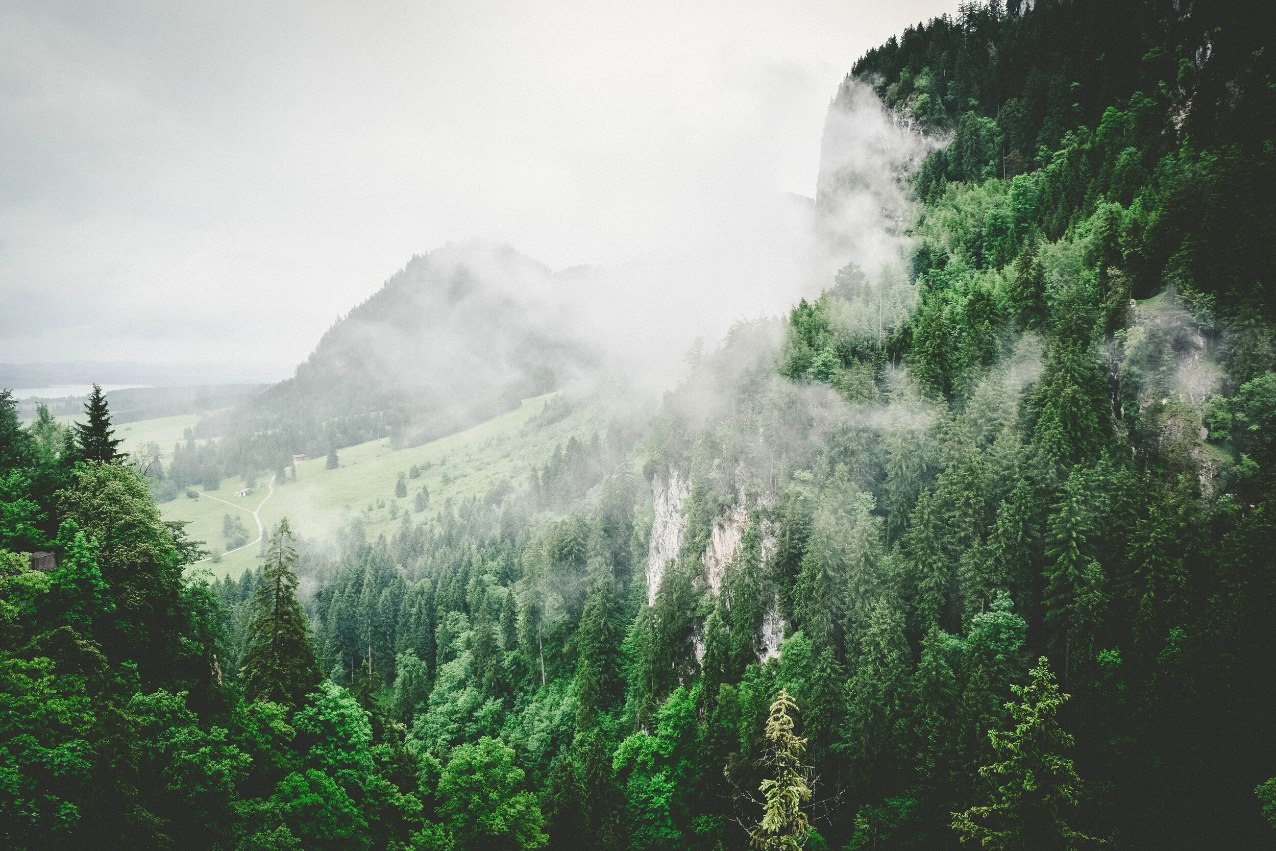 jace-afsoon-K4XHqPZq66c-unsplash.jpeg