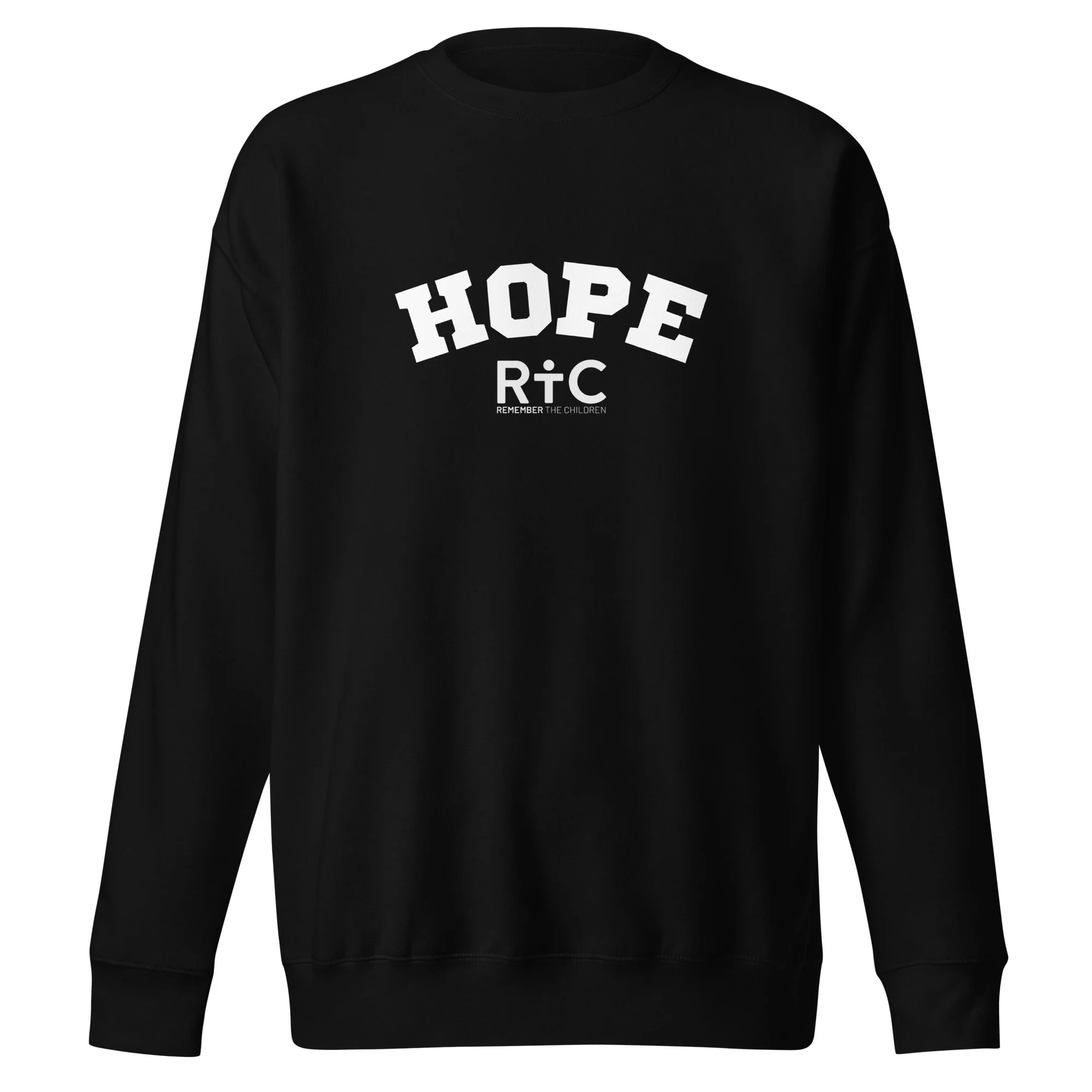 unisex-premium-sweatshirt-black-front-672bd46a33c88.jpg