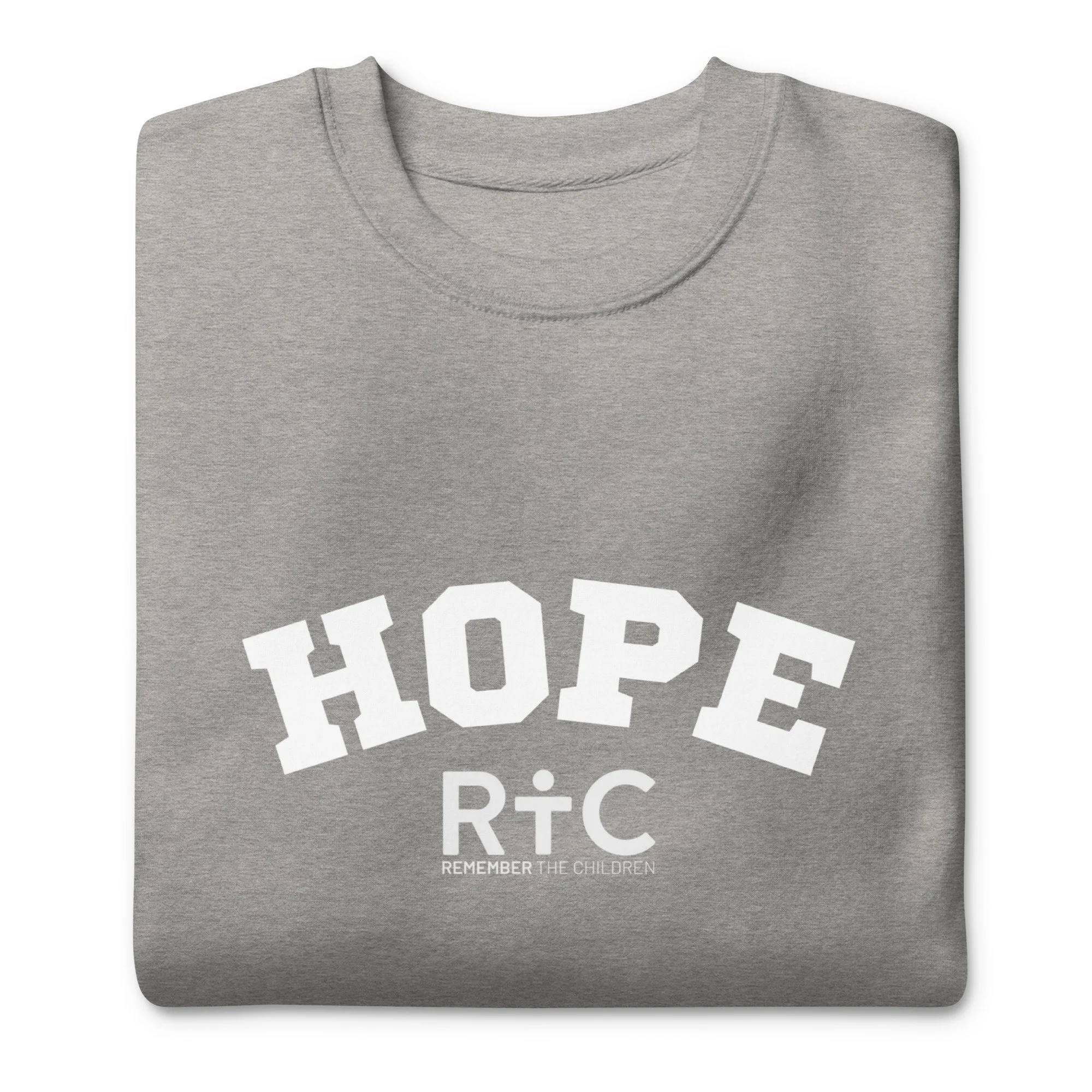 unisex-premium-sweatshirt-carbon-grey-front-672bd46a45496.jpg