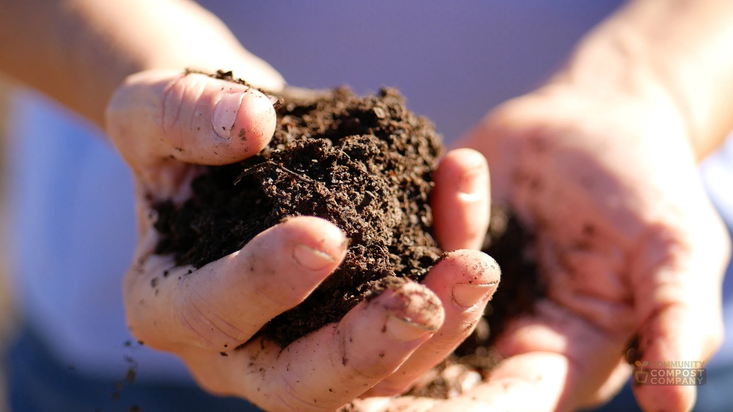 Soil in hands.jpg