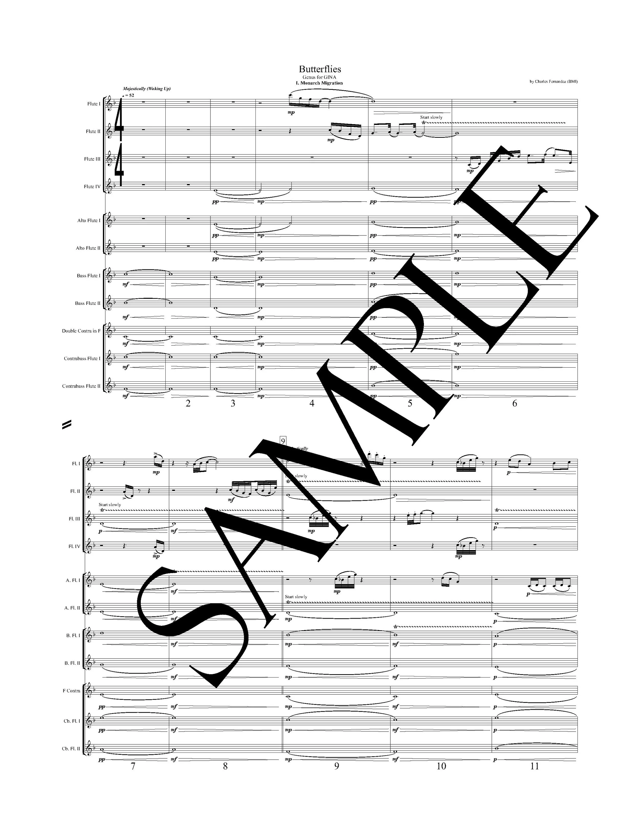 WATERMARK Butterflies Full SCORE for flute