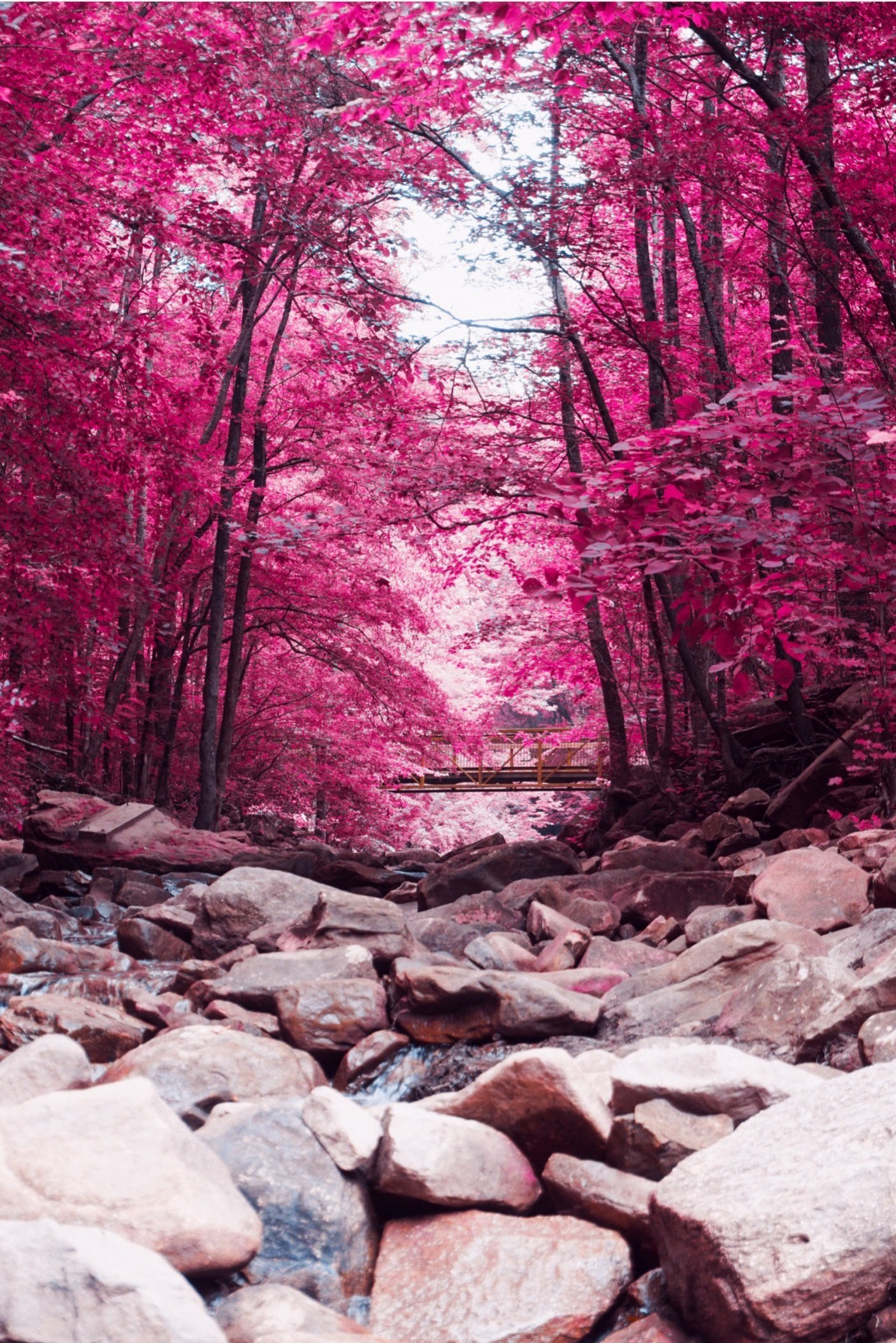 Chattanooga