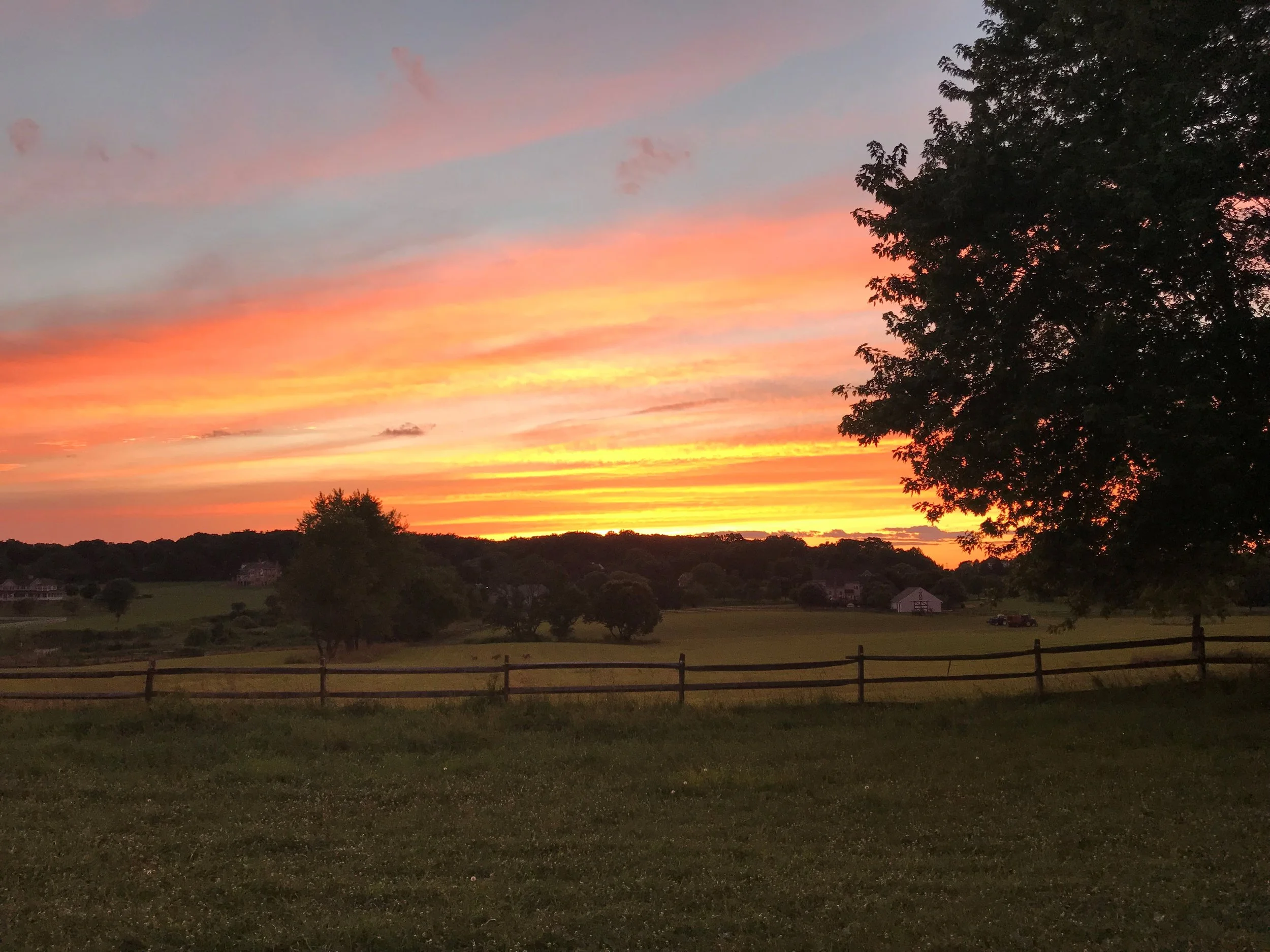 July 24 CSA Newsletter